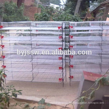 Wholesale upright quail cages with low price quail cage kerala